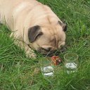 ���� ������, ������ - ��������� 14 ����� 2011 � ������ ���� � � ��� ������...�