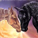 ���� ��������, ������������, 46 ��� - ��������� 31 ��� 2010 � ������ �������