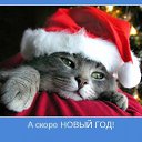 ���� ����, ������������� - ��������� 22 ��� 2013 � ������ ���� ����������