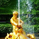 ���� �����, ������, 49 ��� - ��������� 3 ������� 2010