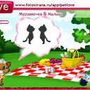  ,  , 41  -  22  2010   PetLove