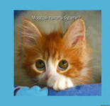 ���� ��������, �����, 54 ���� - ��������� 28 ���� 2012