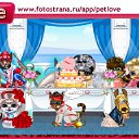  , , 41  -  9  2011   PetLove