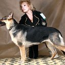 ���� �����, ������ - ��������� 12 ���� 2013