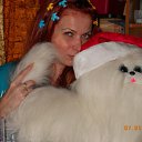 ���� �������, �����-���������, 52 ���� - ��������� 10 ������ 2011 � ������ ���� ����������