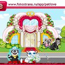  ******, , 24  -  3  2011   PetLove