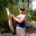 ���� ��������, �������, 53 ���� - ��������� 2 ���� 2013 � ������ ���� ����������