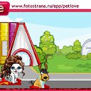  100, , 24  -  5  2010   PetLove