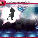 ���� �������, ������-��-����, 33 ���� - ��������� 27 ��� 2011 � ������ �PetLove�