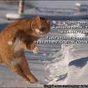 ���� �����, ������ �����, 50 ��� - ��������� 2 ������ 2009 � ������ ��������� ��������