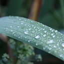  , , 46  -  20  2011    ..