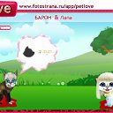 ���� �������, ������, 77 ��� - ��������� 19 ������ 2010 � ������ �PetLove�