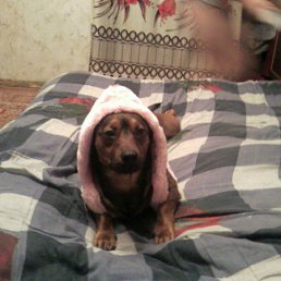 ��������� �������,����-�����-�������!