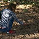 ������ ����� �� ������� ���� ����������