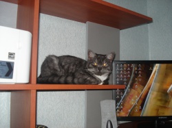 ���� Vlad, ������, 26 ��� - ��������� 1 ���� 2012