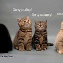 ���� Angelrouming, ���� - ��������� 1 ������� 2012