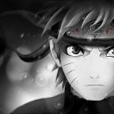 ���� ������, ������, 41 ��� - ��������� 14 �������� 2011 � ������ ���� ����������