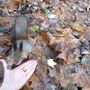 ���� �������, ����� - ��������� 20 ������ 2012