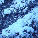 ���� �����, ������, 41 ��� - ��������� 30 ������ 2013 � ������ ����������