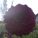 ���� Vlad, ������ - ��������� 13 ������� 2011 � ������ ��������