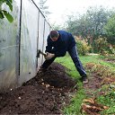  ,  , 42  -  11  2011    2011