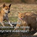 ���� �����, ������������, 56 ��� - ��������� 7 ���� 2013 � ������ �������