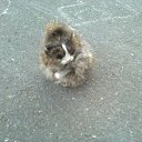 ��� �� !% � ( �� ������� ���� ����������