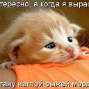 ���� ���, ����, 50 ��� - ��������� 29 ��� 2011 � ������ �������