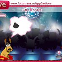 ���� ����, ������, 24 ���� - ��������� 8 ������ 2010 � ������ �PetLove�