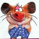 ���� �������, �����-��������, 47 ��� - ��������� 30 �������� 2012 � ������ �������