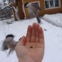 ���� ������, ������, 63 ���� - ��������� 5 ������� 2011 � ������ ���� ������� ���....�