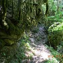 ���� �������, ����, 46 ��� - ��������� 1 ��� 2012 � ������ ����������� �������-�.����-�������� �������