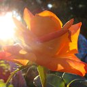 ���� ������, ������, 63 ���� - ��������� 5 ������� 2011 � ������ ������-���� �����-2�