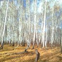  Masha, , 43  -  15  2012   