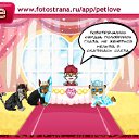  , , 52  -  15  2011   PetLove