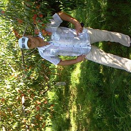 ������, ����-�������