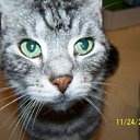 ���� Dimka, ������, 57 ��� - ��������� 11 ����� 2012 � ������ �TIERE�