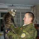 ���� ���������, ���, 34 ���� - ��������� 28 ������� 2013 � ������ ���� ����������