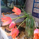 ���� ������, ������������ - ��������� 11 ������ 2012 � ������ �������