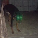 ���� Anita, ������ - ��������� 23 ������� 2009 � ������ �������