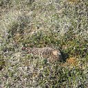 ���� ���������, �����-���������, 55 ��� - ��������� 18 ���� 2012 � ������ ��� �� ������