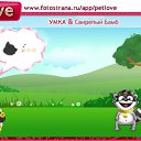 ���� Alexandr, �������������, 48 ��� - ��������� 23 �������� 2010 � ������ �PetLove�