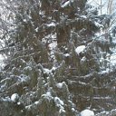 ���� �����, ��������, 40 ��� - ��������� 30 ������ 2011 � ������ �������