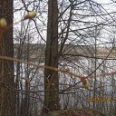 ���� ���, ������, 30 ��� - ��������� 6 ������� 2010 � ������ ��������