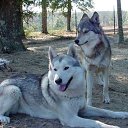 ���� "@����", �����-���������, 25 ��� - ��������� 26 ��� 2010 � ������ �����Ȼ