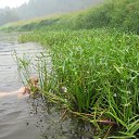 ���� @���@, �����-���������, 48 ��� - ��������� 15 ������� 2010 � ������ ���� ����������