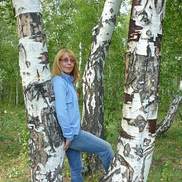 ����, ������������, 71 ���