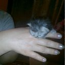  E.lena, , 62  -  15  2011     ...