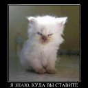 ���� ��������, �������, 35 ��� - ��������� 27 ��� 2013 � ������ ���� ����������