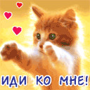 ���� �������, �����-���������, 54 ���� - ��������� 6 ������� 2012 � ������ ������� �������